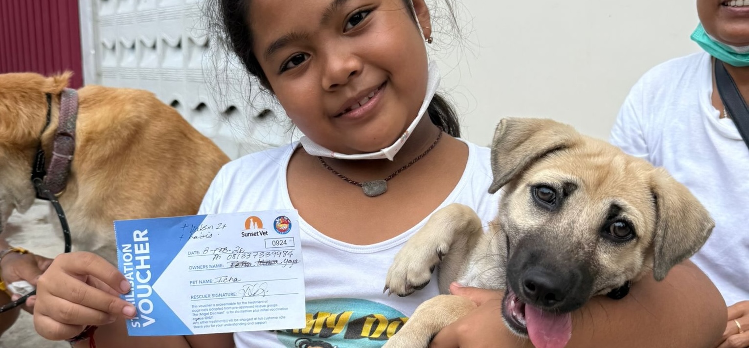 Jet Set Petz sterilisation voucher in Bali